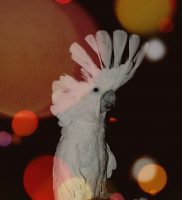 20171110_083834