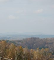 DSC_4206-001