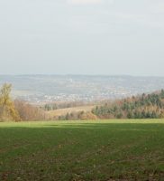 DSC_4229-001